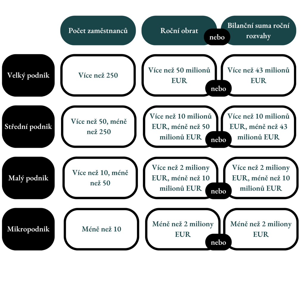 Exclusive Networks NIS2 web - velikost podniku